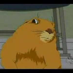 Team Page: Super Creative Team Name- Lunken